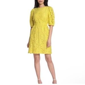 Maggy London Yellow Lace Mini Dress